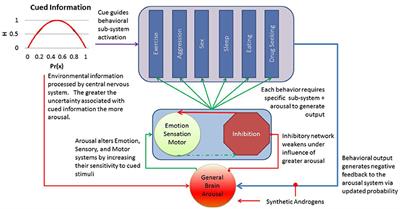 Defining the Construct of Synthetic Androgen Intoxication: An Application of General Brain Arousal